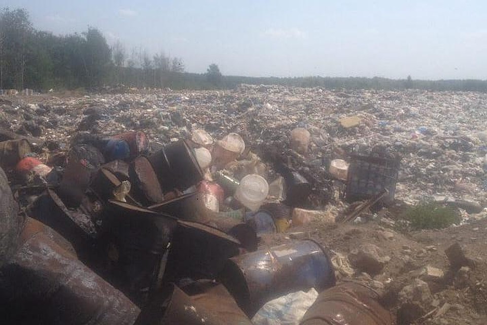 На притоке Оби нашли свалку мазута и иных отходов. 16005.jpeg На притоке Оби нашли свалку мазута и иных отходов. 16005.jpeg