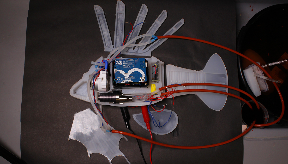 Создана рыба-робот с искусственной кровеносной системой. 16027.jpeg