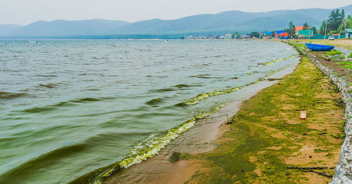 Байкальская вода может стать непригодной для питья