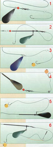 Шесть видов карповых оснасток для начинающих
