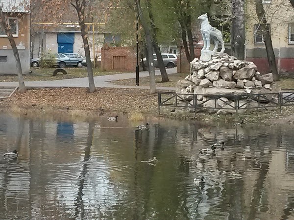 В Самаре после мора рыбы очистят "Родничок надежды". 16124.jpeg