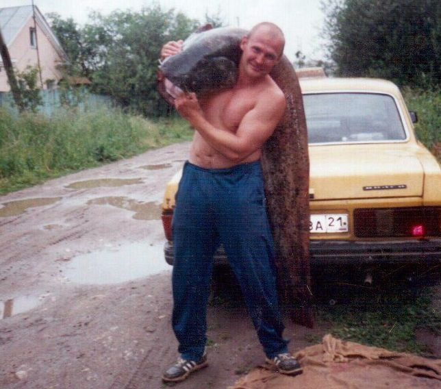 На Волге поймали двухметрового сома. 16143.jpeg На Волге поймали двухметрового сома. 16143.jpeg