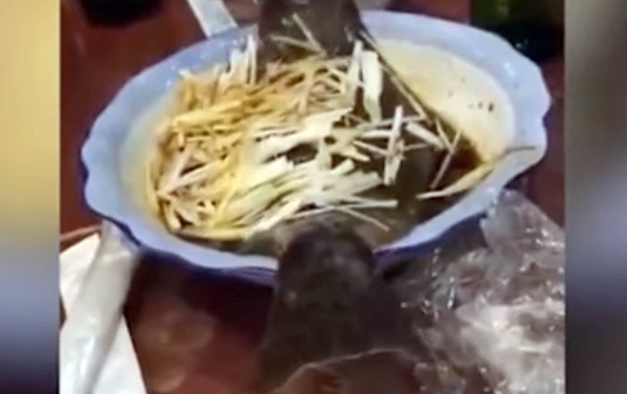 В Китае приготовленная варом рыба дала деру из тарелки. тарелка 