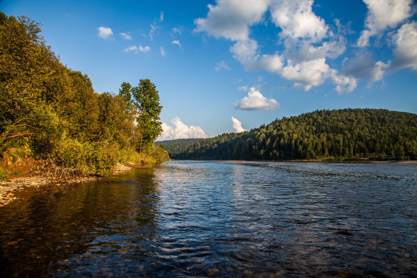 Гидрологи зафиксировали повышение уровня воды в реке Томь. экология, вода, река, Томь