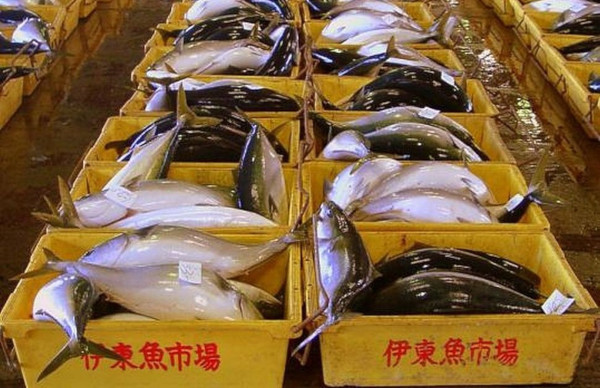 Поставки американской рыбы и морепродуктов в Китай снизились на 25%. рыба, поставки, экспорт, санкции, США, Китай