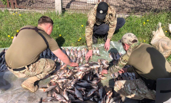 В Кораблинском районе поймали браконьеров. рыба, рыбалка, браконьеры, штраф