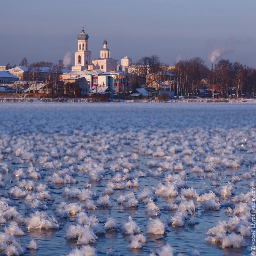 На Валдае распустились цветы. 14315.jpeg