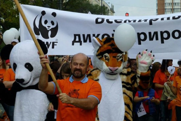 WWF помогает распознать на прилавках вымирающие виды. рыбы, морские обитатели, WWF, фонд дикой природы