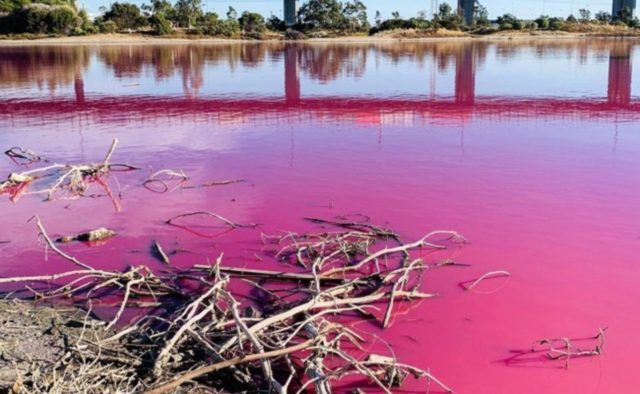 В мире что-то случилось со многими озерами – они стали розовыми. озеро 
