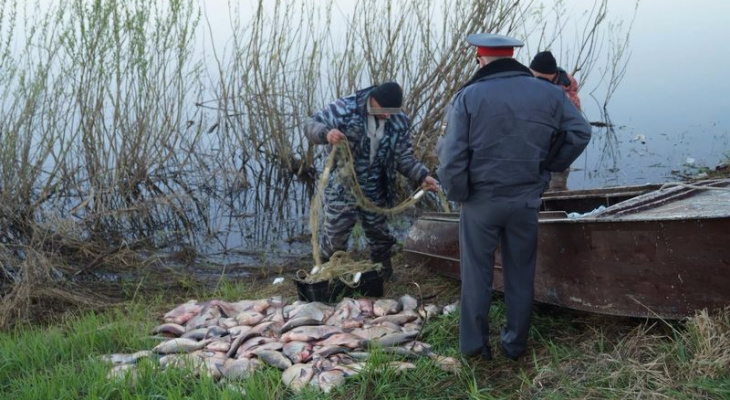 В Краснодарском крае ловили краснокнижную рыбу. браконьеры