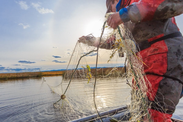 На Южном Урале рыбака будут судить за незаконный улов на полмиллиона. рыба, рыбалка, браконьер, суд, Урал, Челябинская область