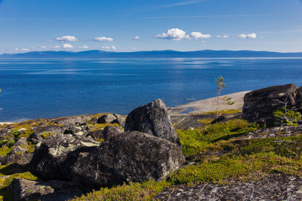 Белое Море Рыба Фото Белое Море Рыба Фото
