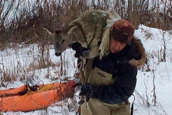Рыбак ловил рыбу, а поймал косулю. 14402.jpeg Рыбак ловил рыбу, а поймал косулю. 14402.jpeg