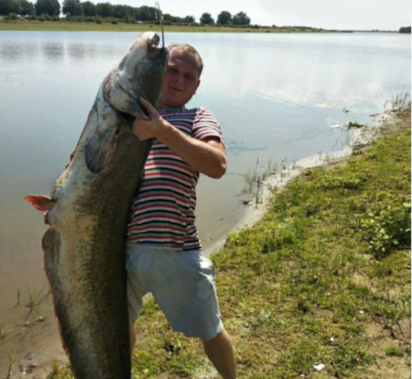 Житель Астрахани поймал 39-килограммового сома. рыба, рыбалка, сом, Астрахань