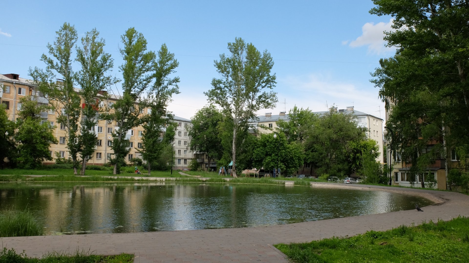 Экологи нашли причину гибели рыбы в самарском озере. 15471.jpeg Экологи нашли причину гибели рыбы в самарском озере. озеро