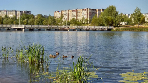 В большинстве озер Нижнего Новгорода купаться не рекомендуется. экология, озера, Нижний Новгород