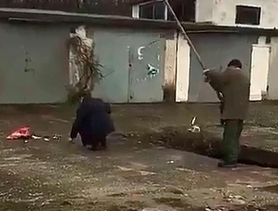 Новороссийцы ловят кефаль в ливневке. 14488.jpeg Новороссийцы ловят кефаль в ливневке. 14488.jpeg