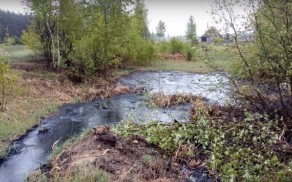 В Брянской области есть гудроновое озеро. озеро 