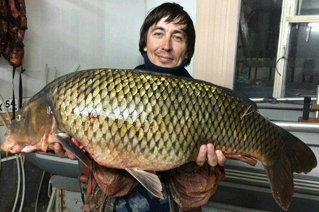 Новосибирский рыбак поймал гигантского сазана. 13627.jpeg