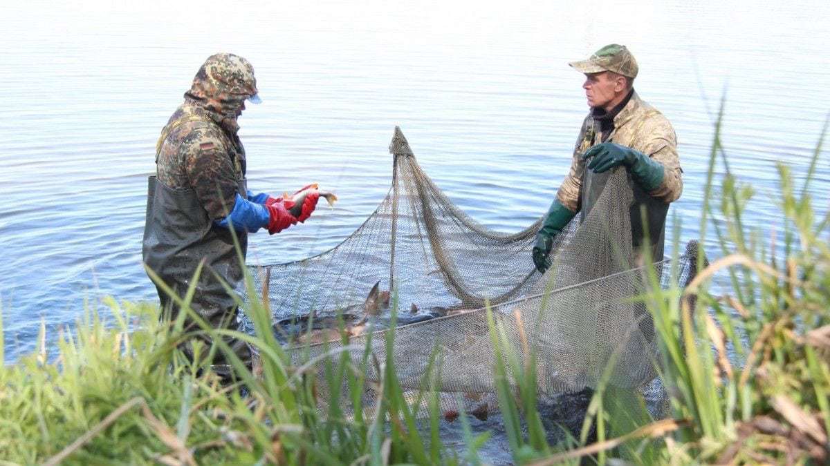 Сызранский рыбак сжег сети браконьеров. Браконьеры