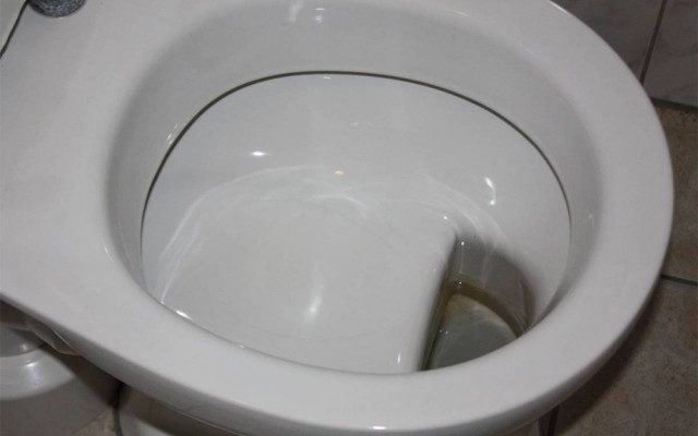 Рыбак ловил рыбу в унитазе…. 13677.jpeg Рыбак ловил рыбу в унитазе…. 13677.jpeg