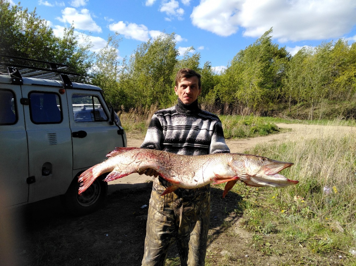 Омский рыбак поймал более чем метровую щуку. 15704.jpeg Омский рыбак поймал более чем метровую щуку. 15704.jpeg