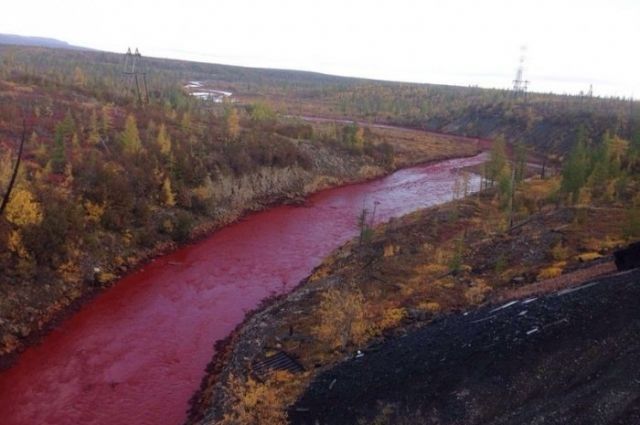 В Приморье вода в реке превратилась в кровь. 14719.jpeg