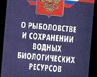 Регионам предложено дать больше полномочий в рыболовном законодательстве. 15795.jpeg