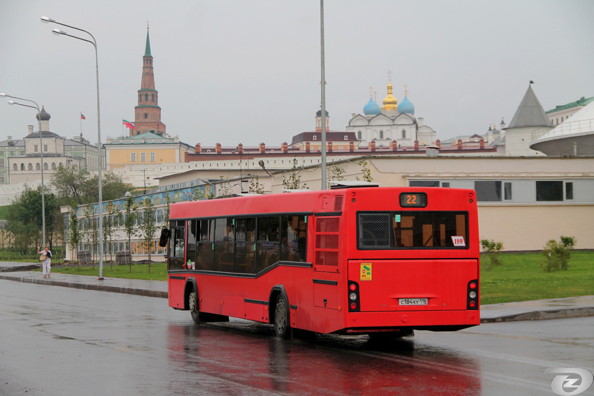 Пенсионерка сломала ребенку руку. 14800.jpeg