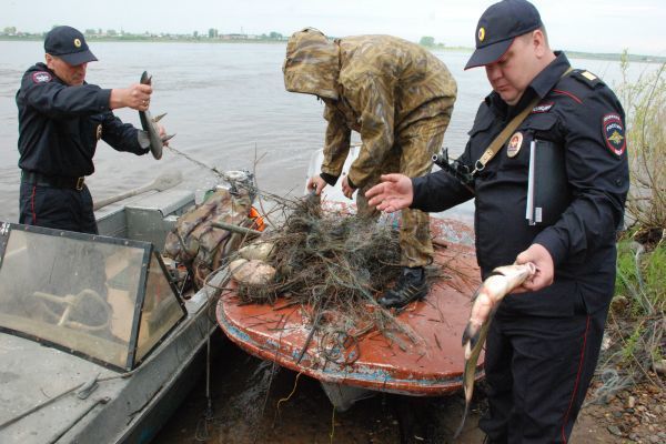 В Новосибирске подорожало браконьерство. 13895.jpeg