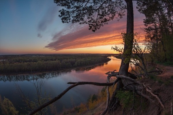 В водоемах Коми хозяйничают пришельцы. 13916.jpeg В водоемах Коми хозяйничают пришельцы. 13916.jpeg