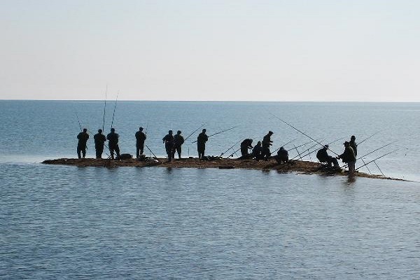 Лов пеленгаса на Азовском море.. 15944.jpeg Лов пеленгаса на Азовском море.. 15944.jpeg