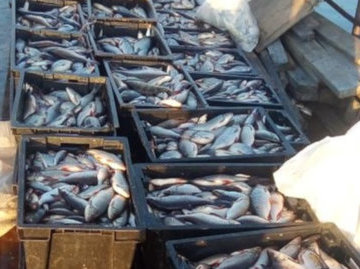 ​В Югре задержали браконьеров с пятью тоннами рыбы