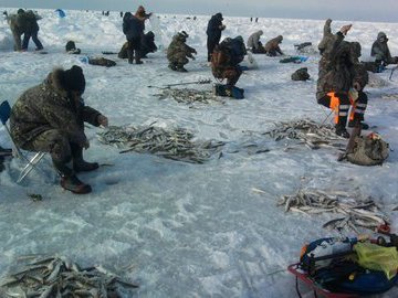 Несколько советов начинающему рыболову- зимнику