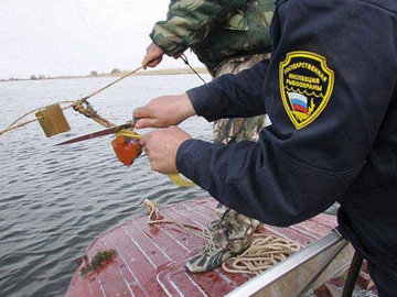 В Псковской области за незаконный вылов рыбы возбудили 22 уголовных дела
