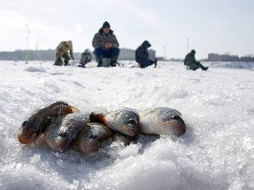 Рыбацкая байка. Первый лёд