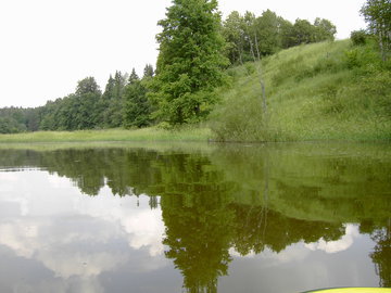В Солнечногорске появится рыбоводный комплекс