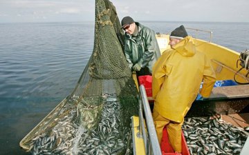 На рыбалку ходить с сетью и паспортом