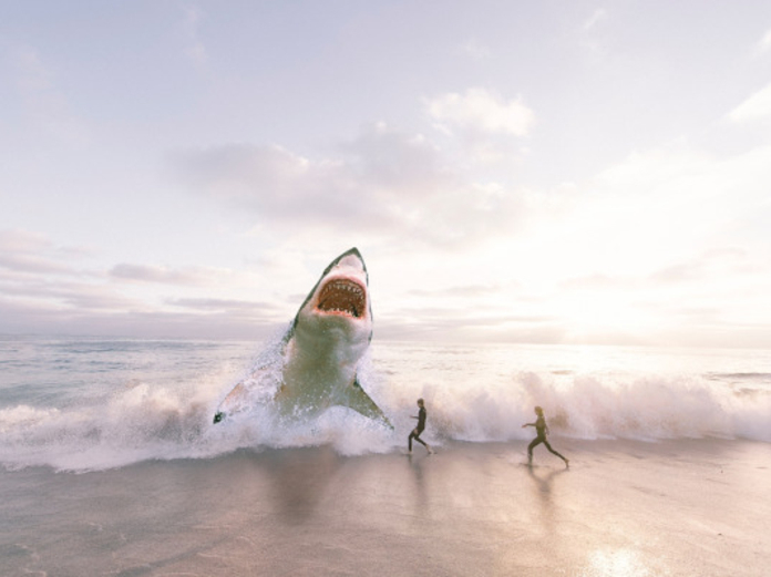 Акулы-людоеды обосновались в районе пляжей двух американских штатов