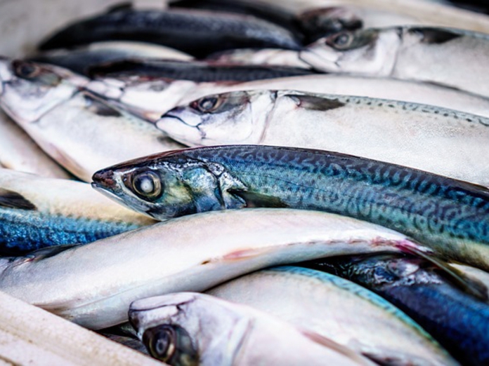 В Кривом Роге задержали браконьера, который выловил 190 кг рыбы