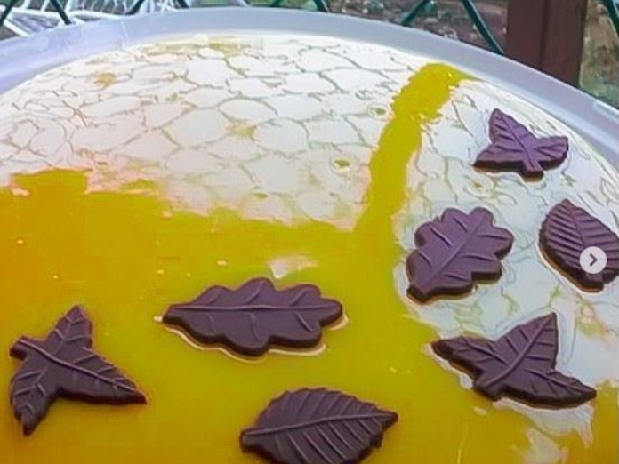 Российские специалисты создали десерты из рыбьей чешуи