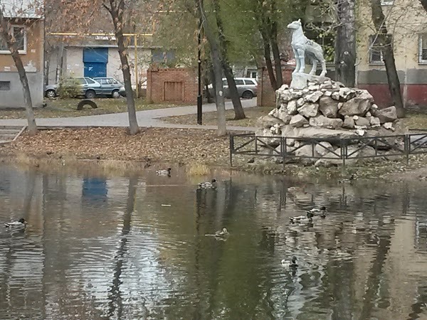 В Самаре после мора рыбы очистят "Родничок надежды"