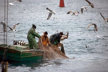 Виды разрушительной, законной и незаконной рыбалки