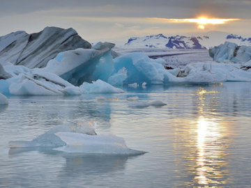 Сайка ушла к кромке полярных льдов