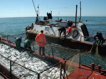 Рыболовный траулер М-0192 "Тор" застрял в Баренцевом море