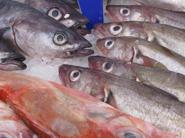 В России зафиксирован рост цен на сельдь
