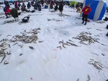 Сахалинские рыбаки раздают выброшенную на лёд рыбу