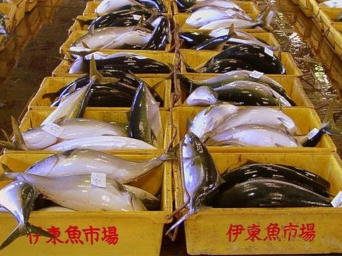 Поставки рыбы и морепродуктов из США в Китай снизились на 25%