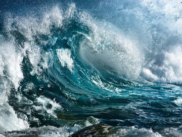 Морским рыбам не грозит массовое вымирание