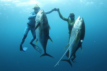 Методы морской и пресноводной рыбалки